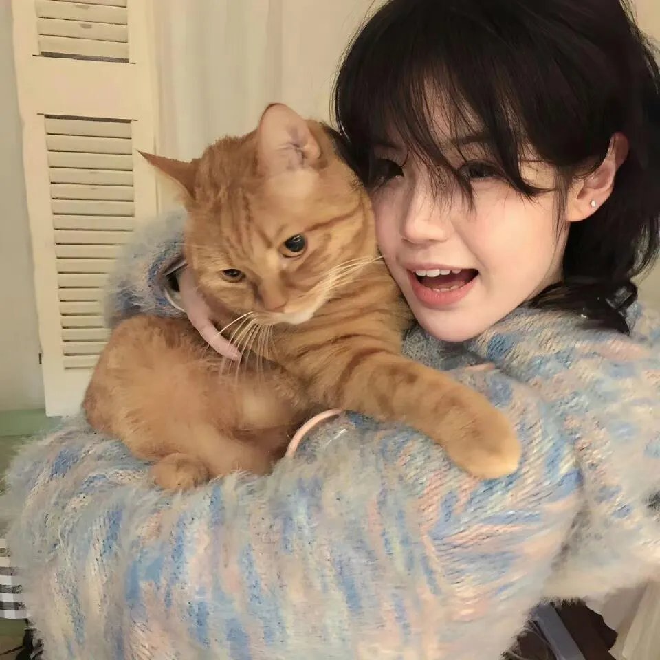 寄宿学校谋杀疑云